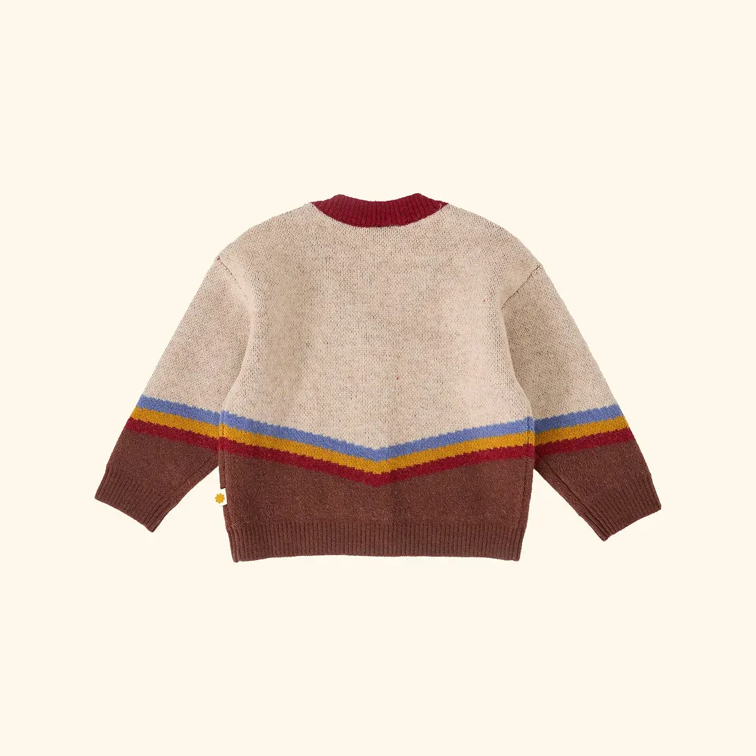 Varsity Knit Cardigan