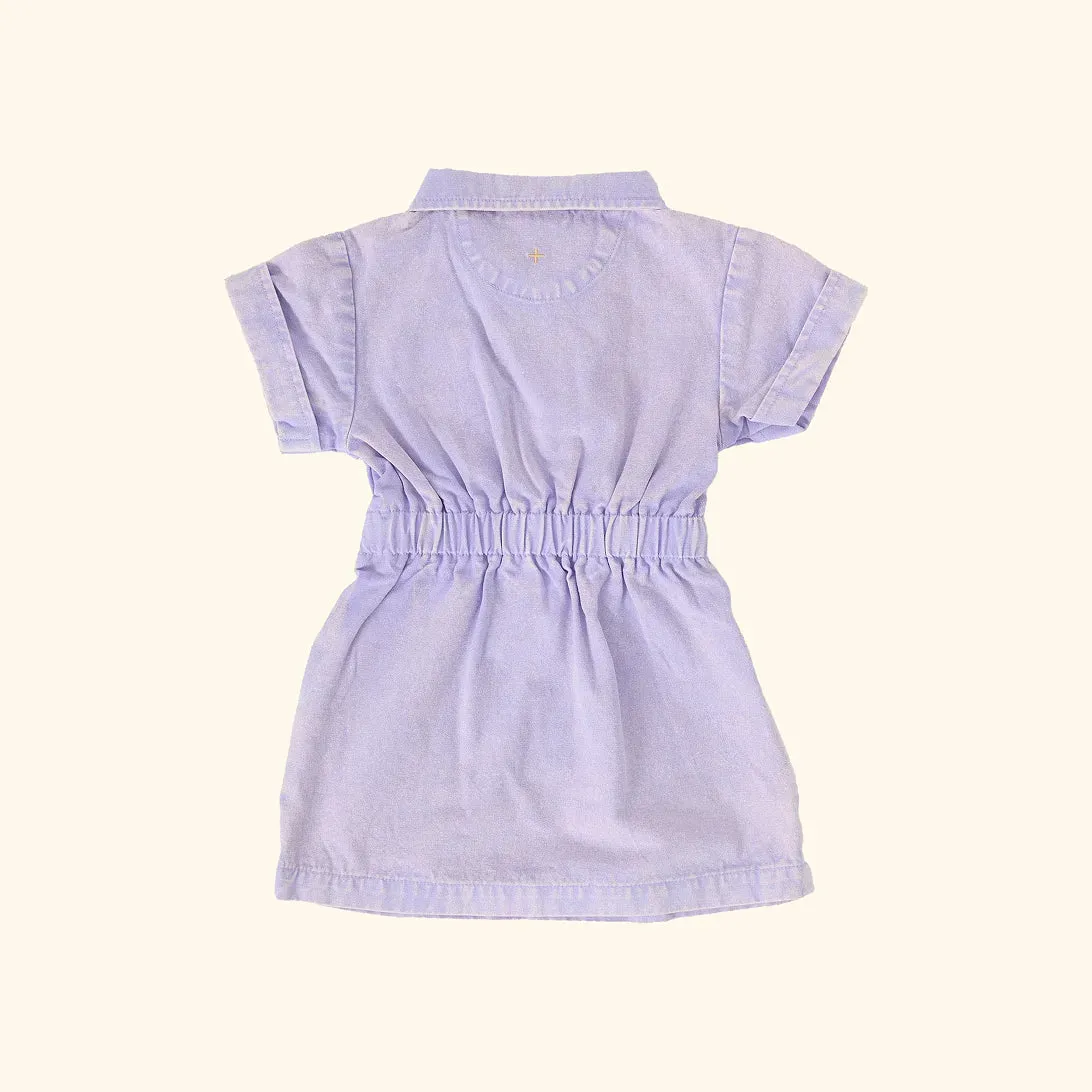 Piper Denim Belted Dress Mauve